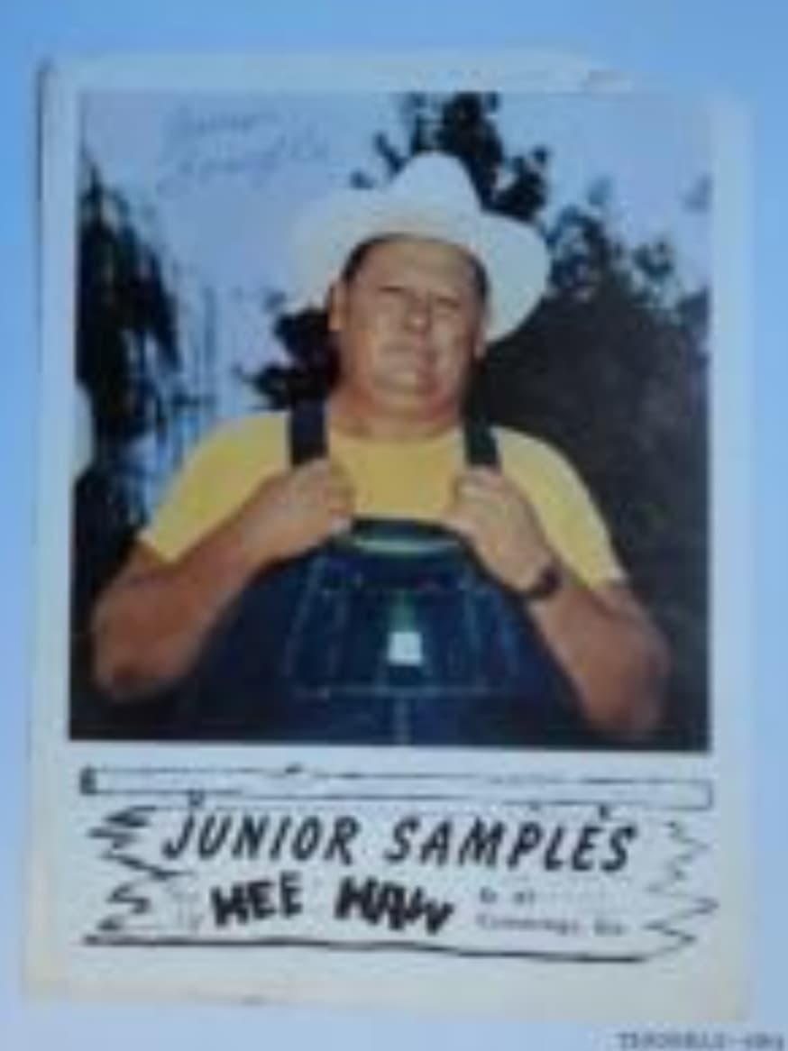 billboard - Junior Samples Hee Haw